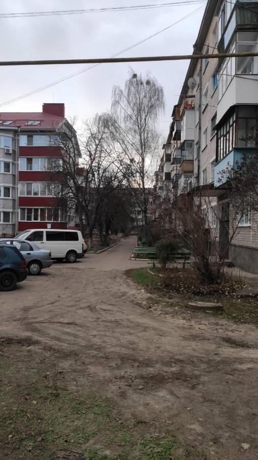 2-Х Комнатная Квартира Korosteń Zewnętrze zdjęcie